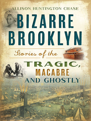 cover image of Bizarre Brooklyn